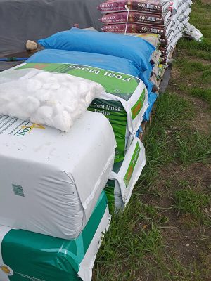 krzewy drzewka owocowe ozdobne Ligus